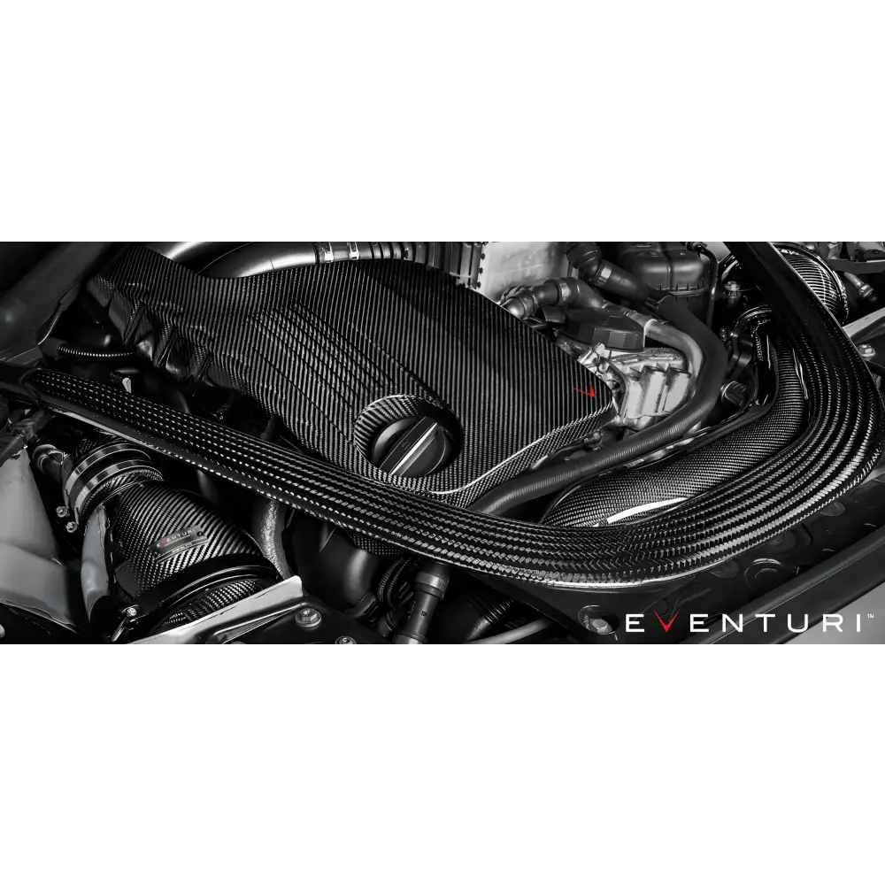 Eventuri Carbon Ansaugsystem fÙr BMW F87 M2 Competition