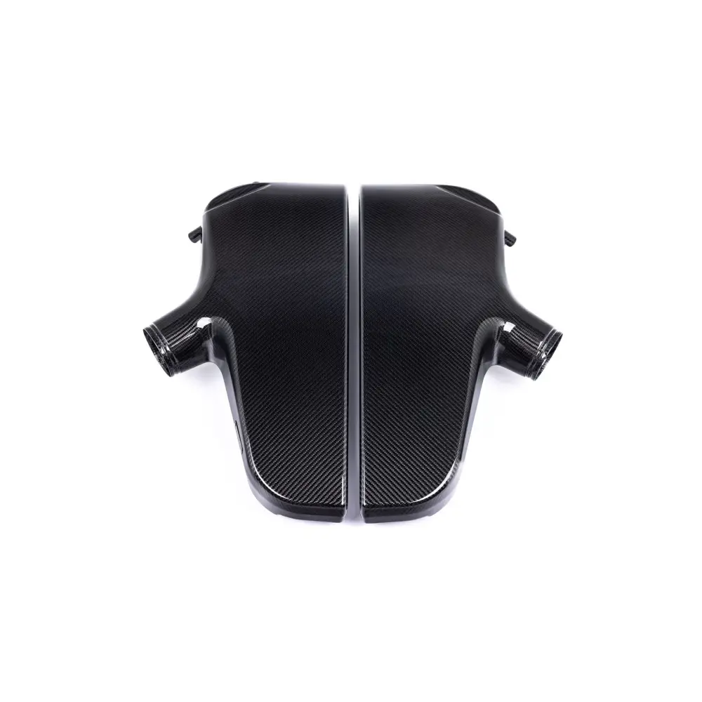 Eventuri Carbon Luftsammler fÙr BMW S85 Motor M5 M6